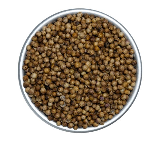Coriander powder export image